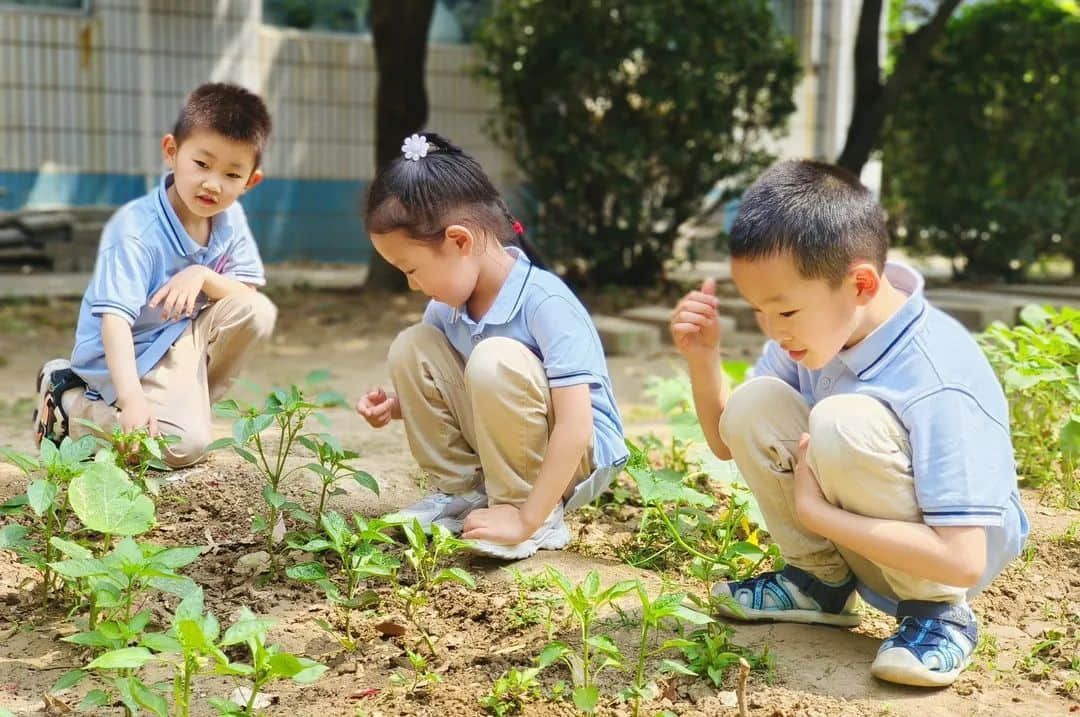 【预之乐】庆六一，“预”成长——石家庄私立一中附小预科部儿童节成长月系列活动