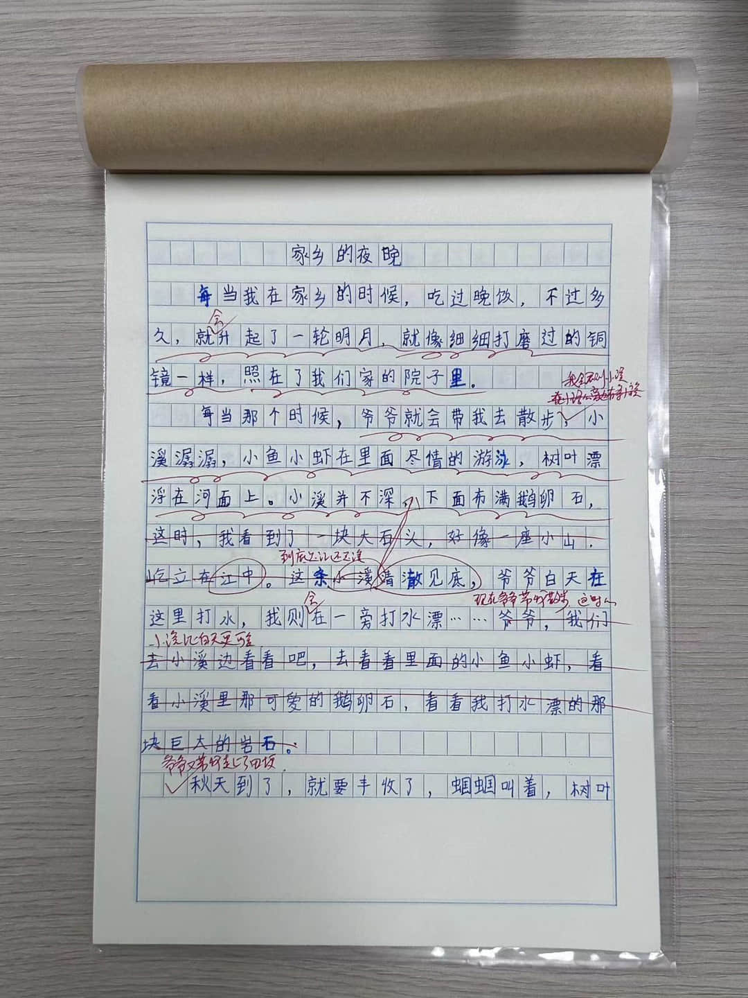 【立小•班本课程】我笔写我心 师生共成长 | 四九班习作主题班本课程纪实