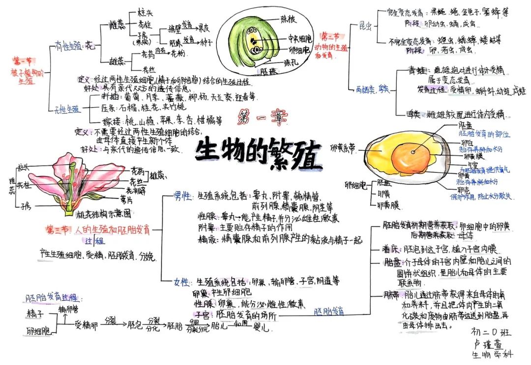 思维绽放 智慧飞扬丨初二年级开展学科思维导图竞赛