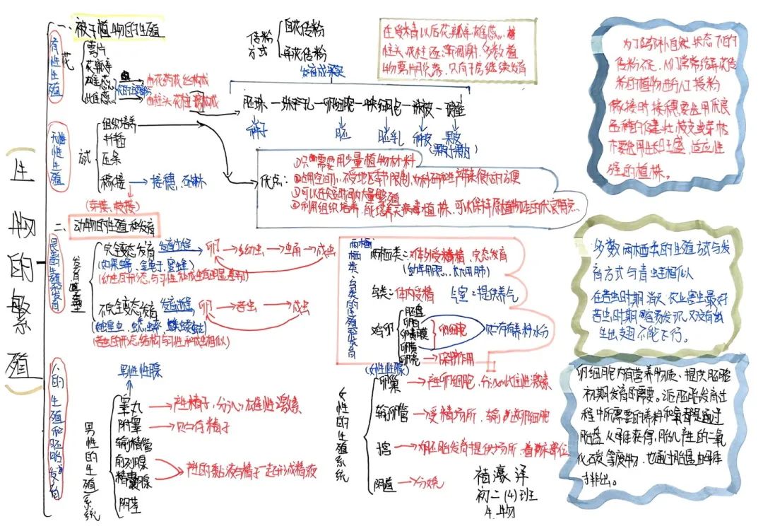 思维绽放 智慧飞扬丨初二年级开展学科思维导图竞赛