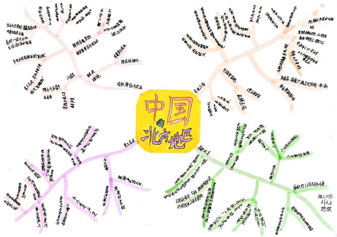 思维绽放 智慧飞扬丨初二年级开展学科思维导图竞赛