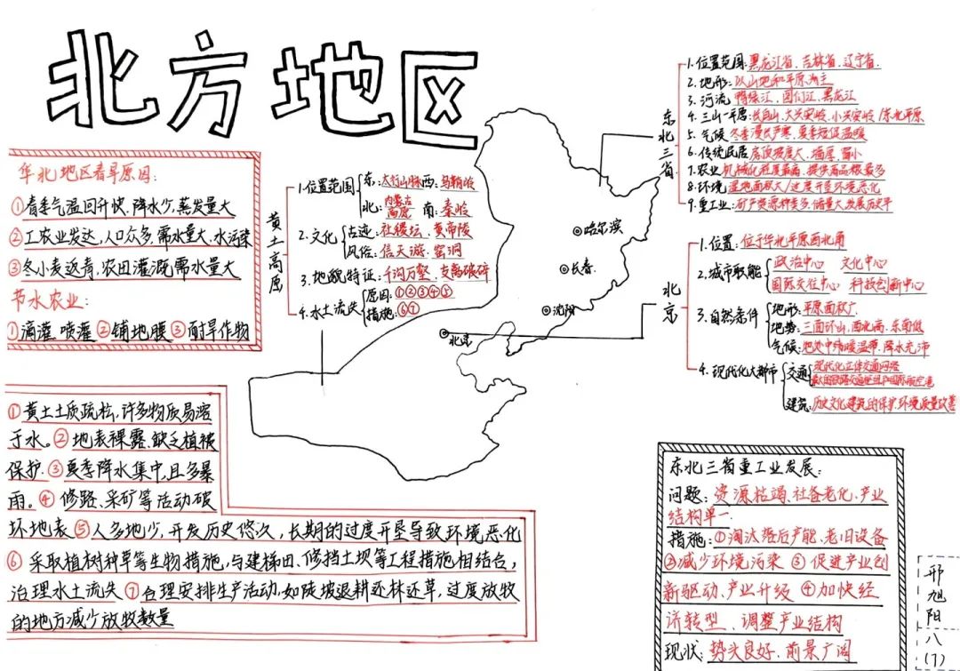 思维绽放 智慧飞扬丨初二年级开展学科思维导图竞赛