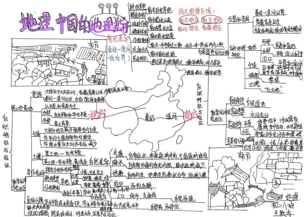 思维绽放 智慧飞扬丨初二年级开展学科思维导图竞赛