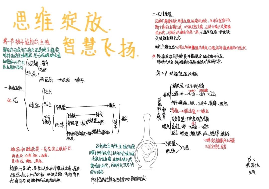 思维绽放 智慧飞扬丨初二年级开展学科思维导图竞赛