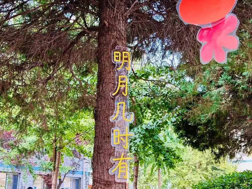 【立小 • 德育】你看，我们的墙上有什么？让校园处处都有对话！