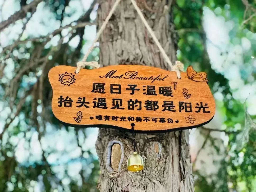 【立小 • 德育】你看，我们的墙上有什么？让校园处处都有对话！