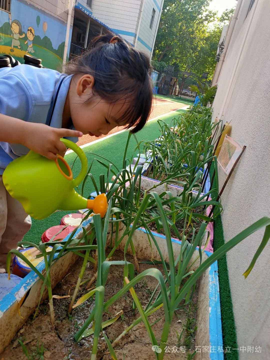 【生命教育】让生命自然生长让教育自然发生