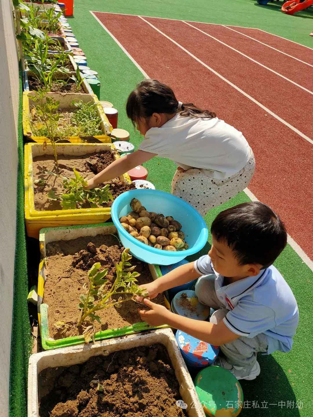 【生命教育】让生命自然生长让教育自然发生