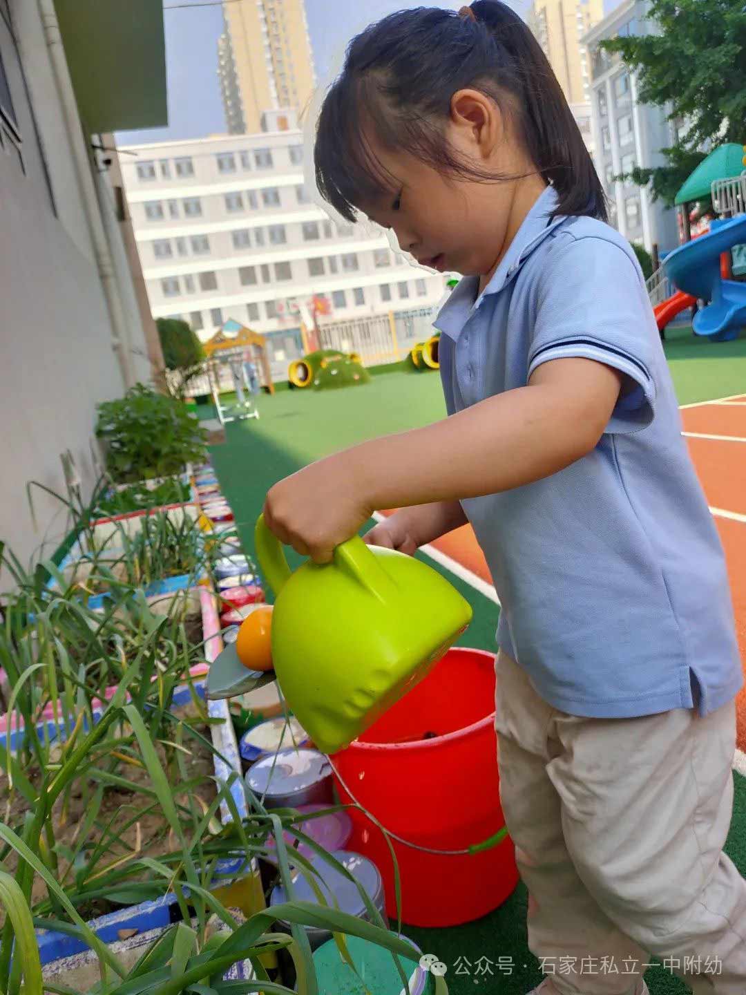 【生命教育】让生命自然生长让教育自然发生