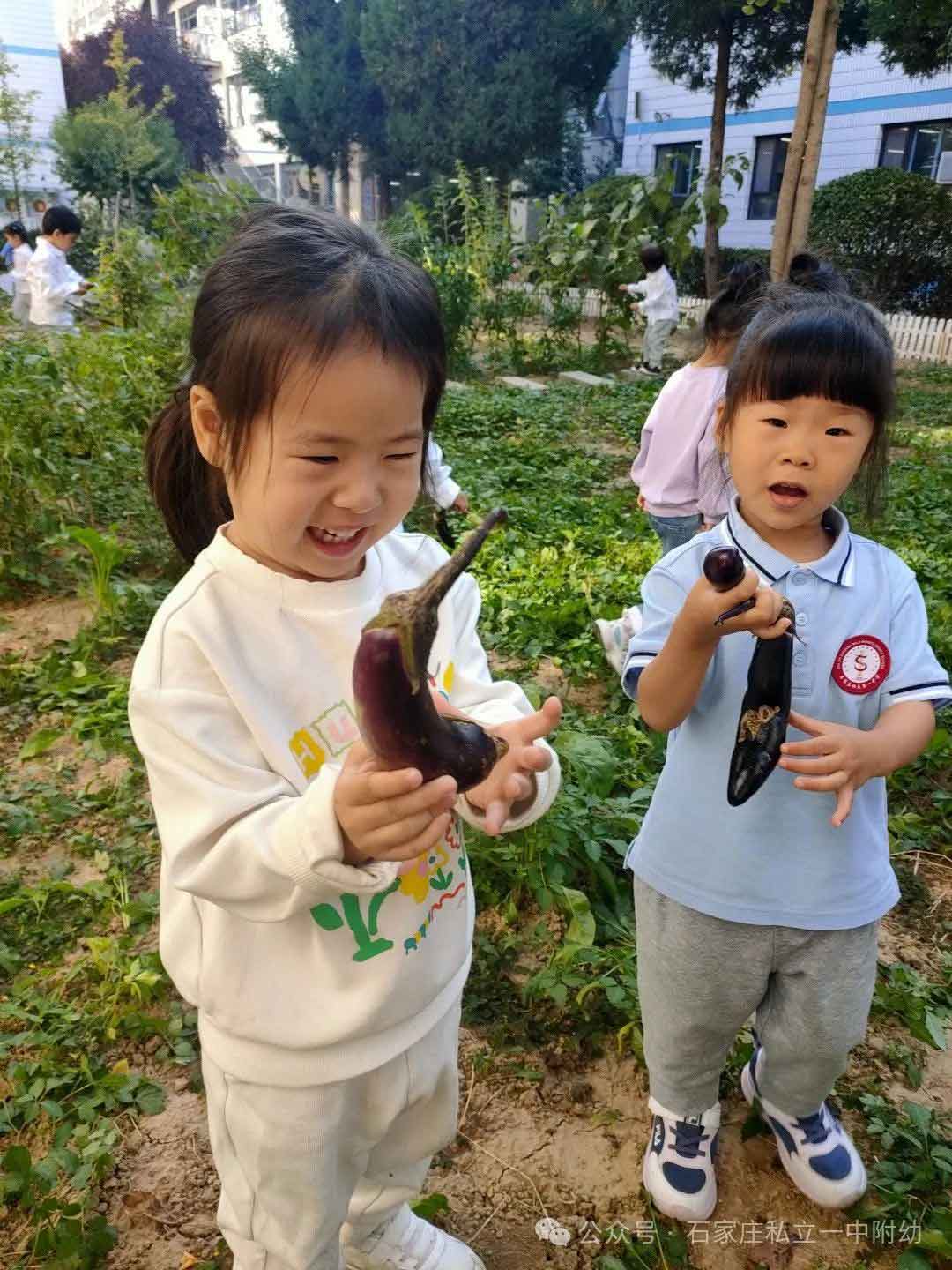 【生命教育】让生命自然生长让教育自然发生