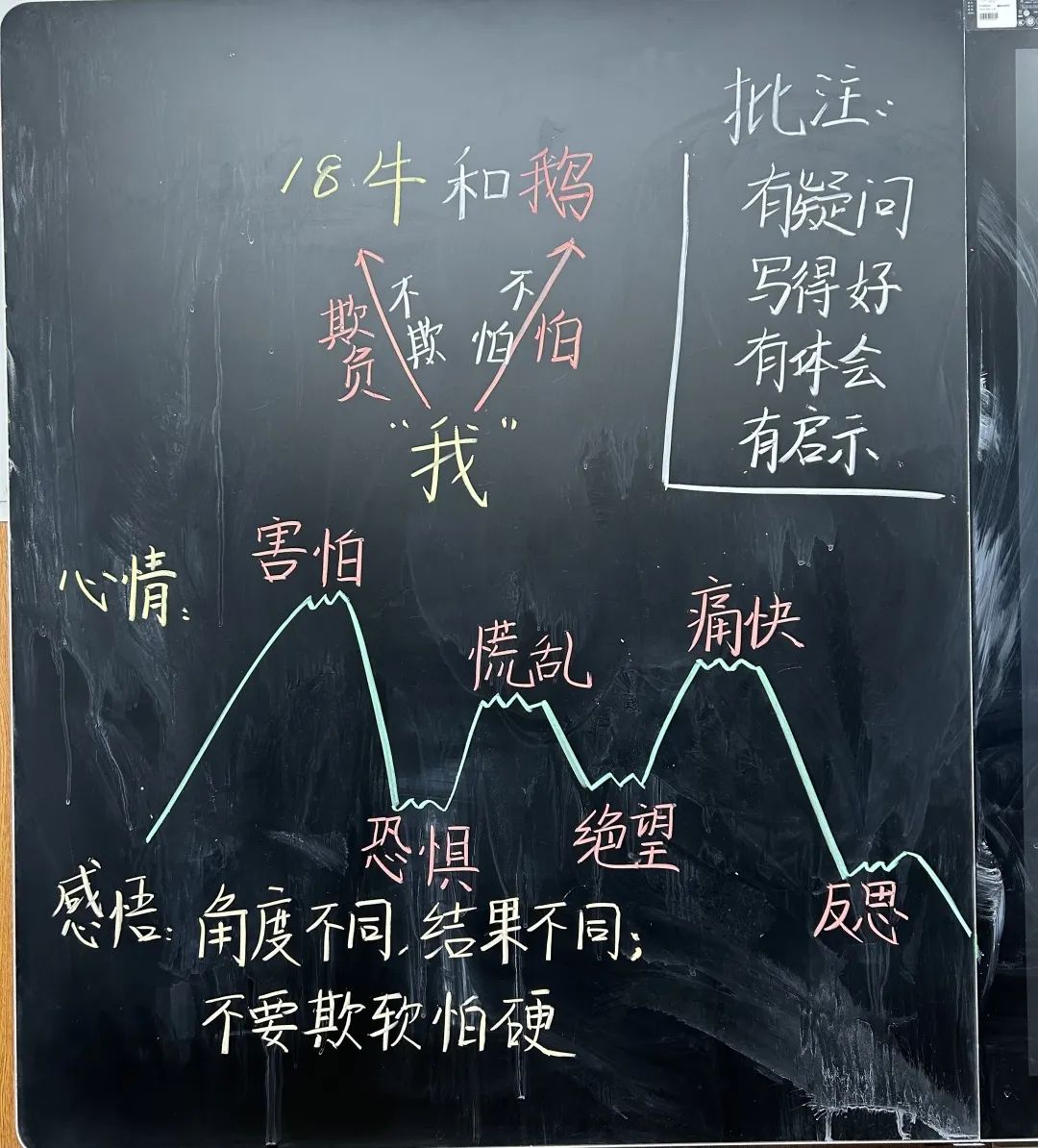 【立小 • 教学】三尺方寸地 板书绽芳华｜四年级板书设计展示
