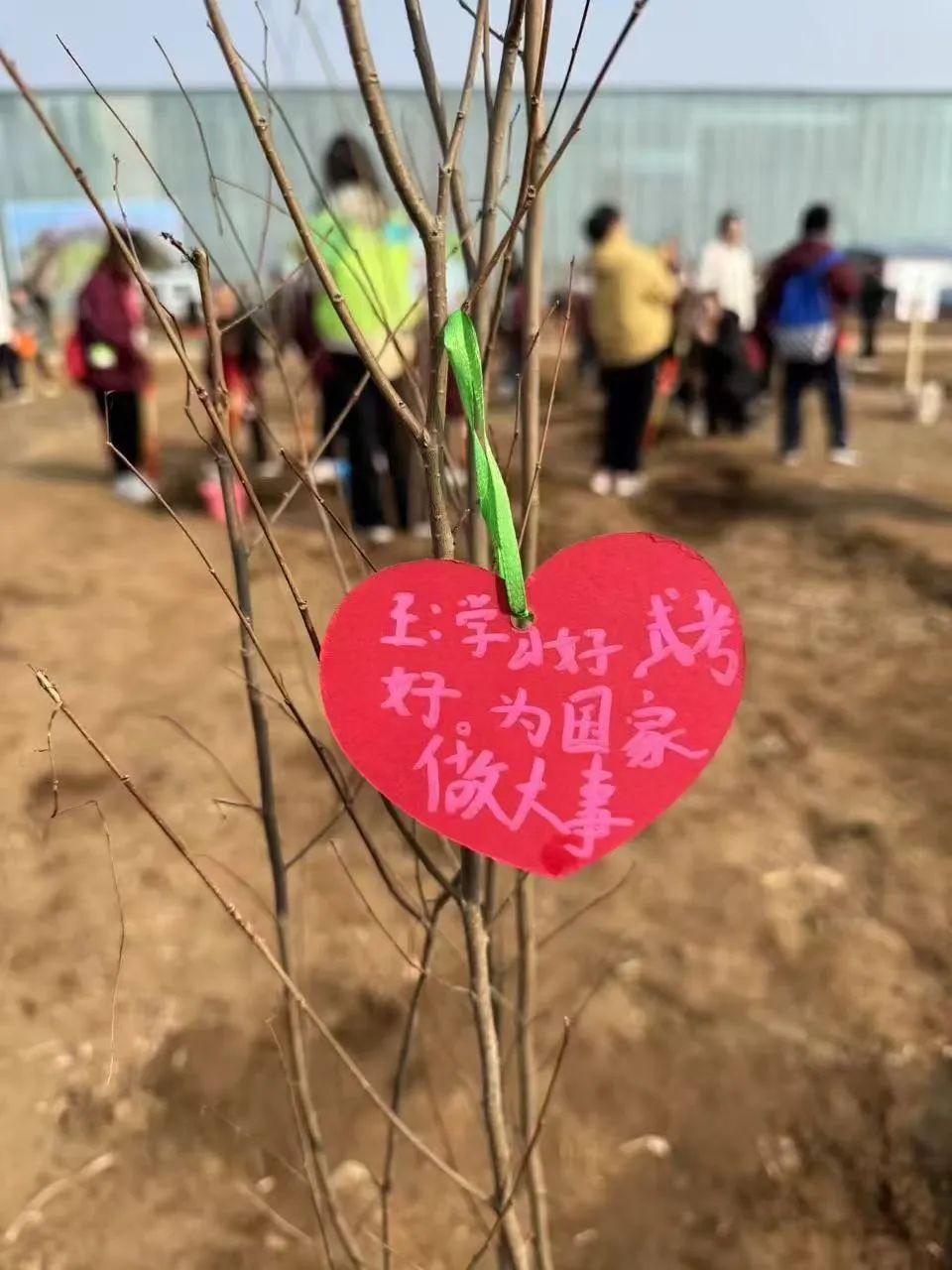 【立小 • 美育】当植树节撞上中草药种植，这波操作太绝了！