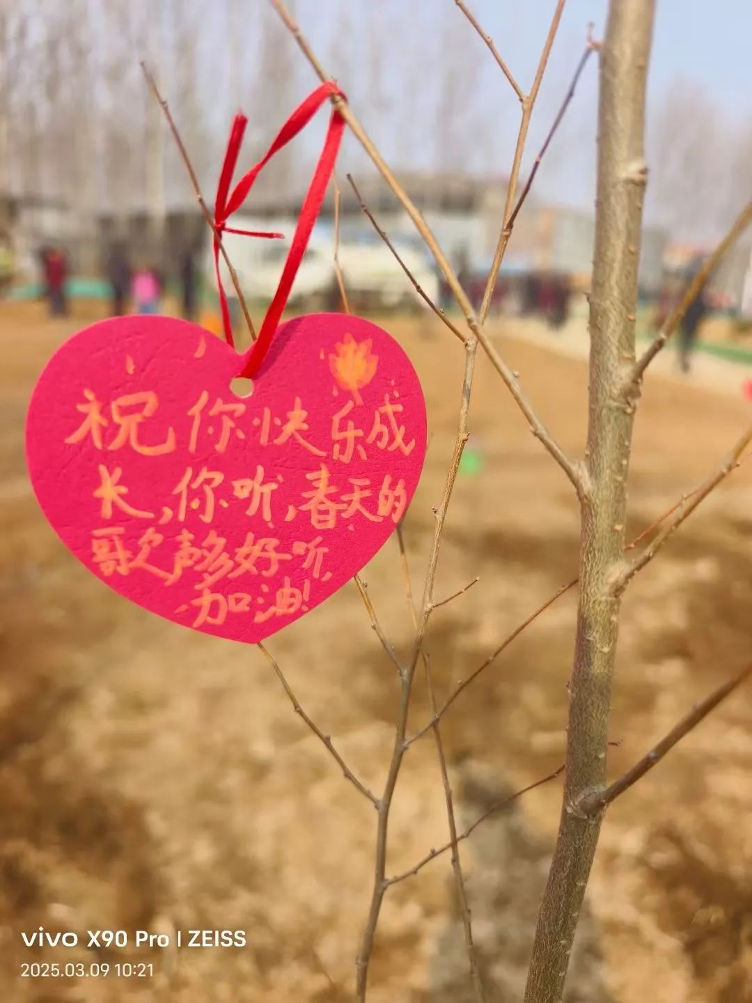 【立小 • 美育】当植树节撞上中草药种植，这波操作太绝了！