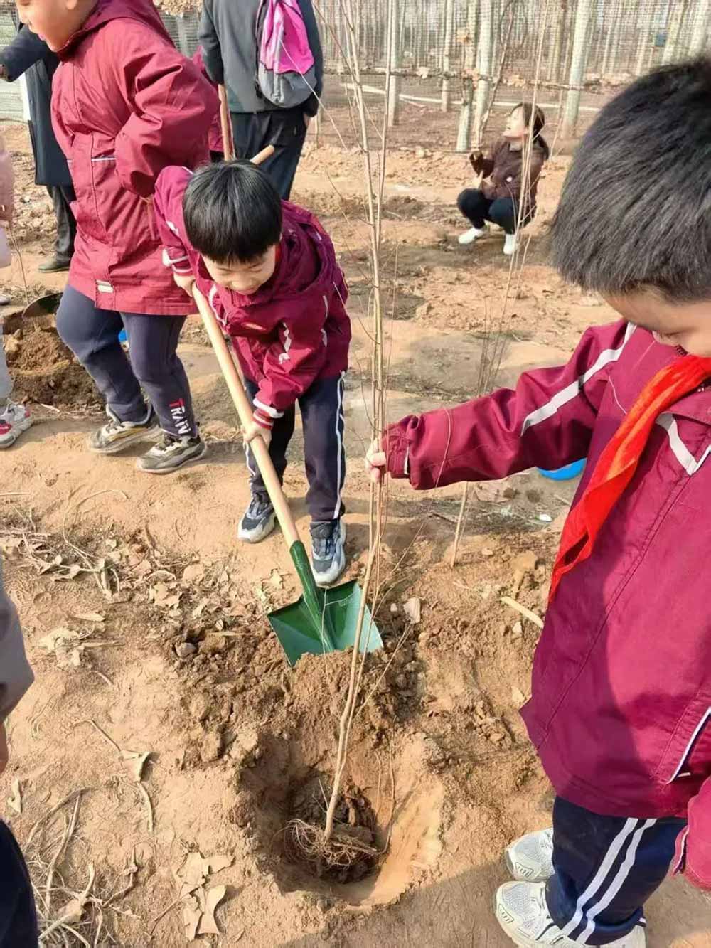 【立小 • 美育】当植树节撞上中草药种植，这波操作太绝了！