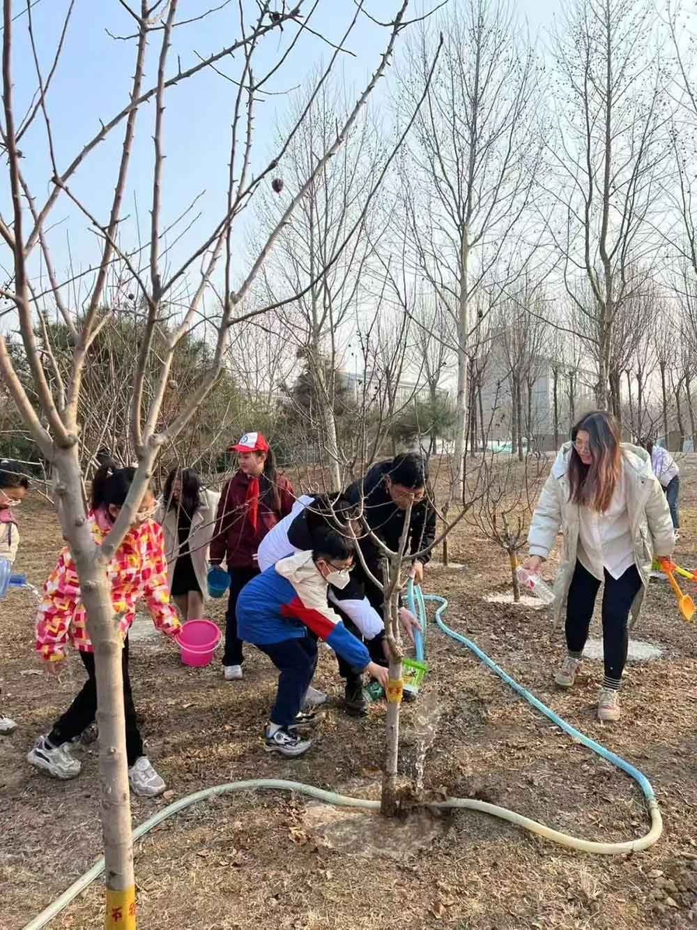 【立小 • 美育】当植树节撞上中草药种植，这波操作太绝了！