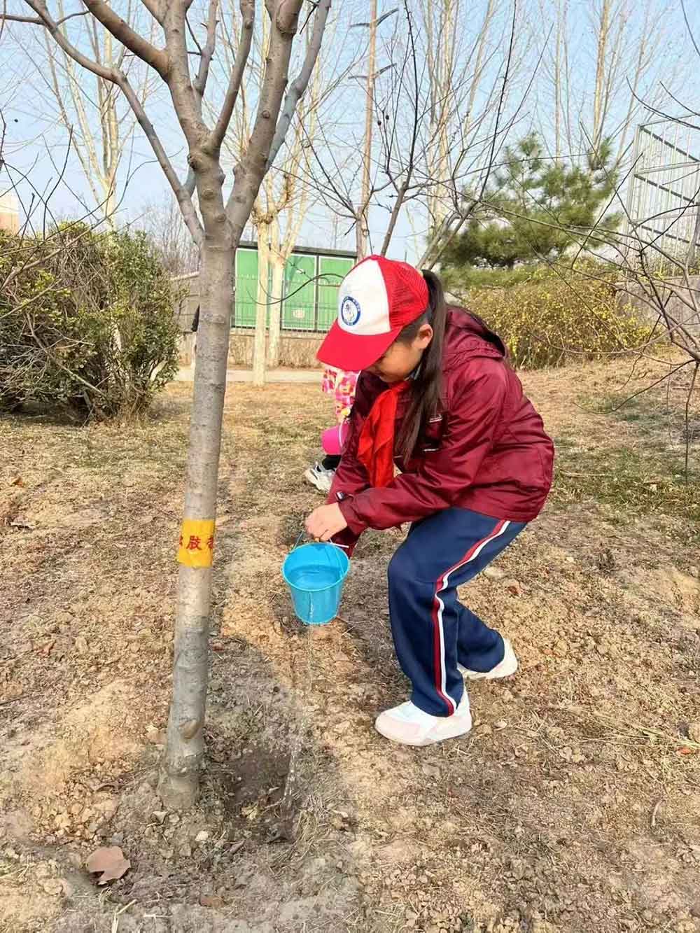 【立小 • 美育】当植树节撞上中草药种植，这波操作太绝了！