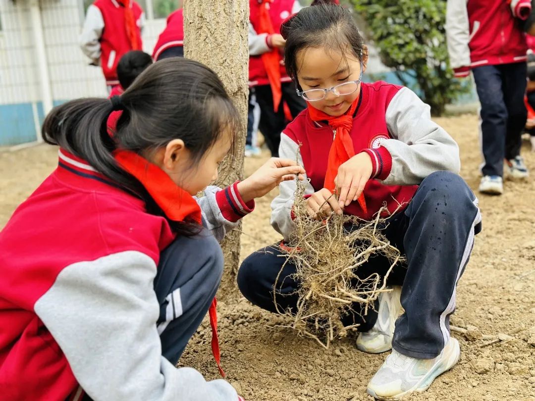 【立小 • 美育】当植树节撞上中草药种植，这波操作太绝了！