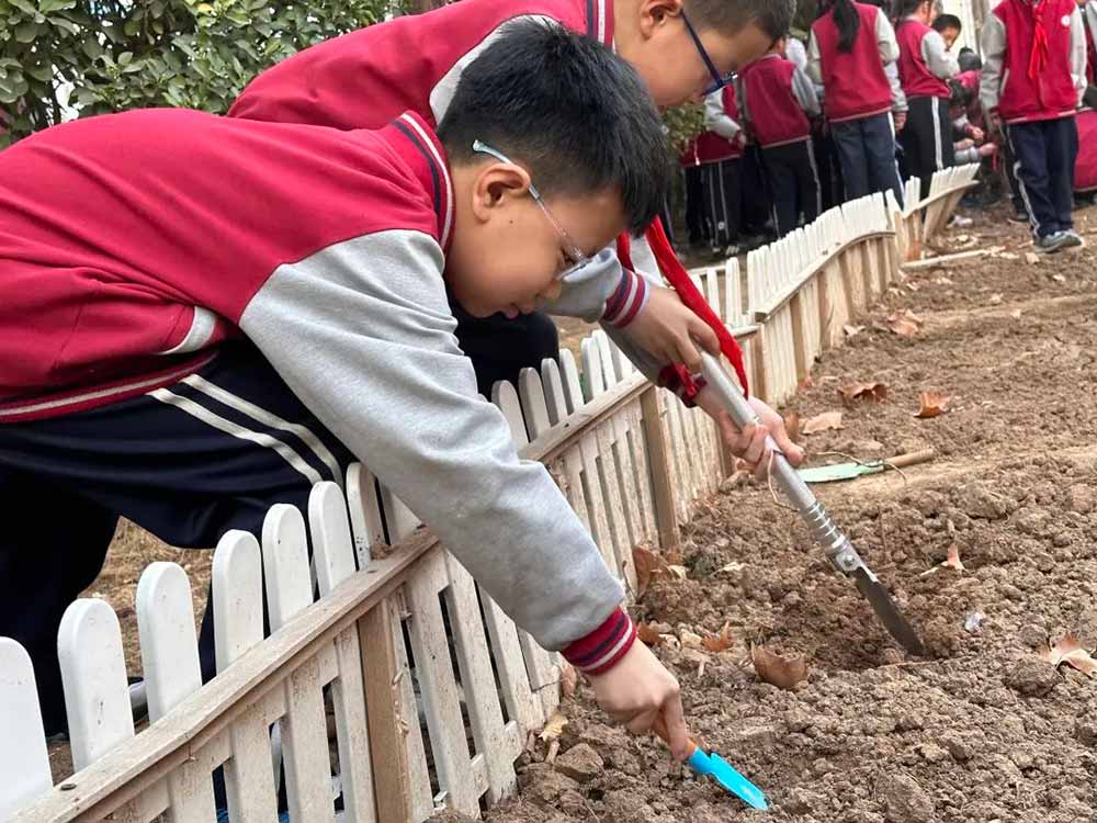 【立小 • 美育】当植树节撞上中草药种植，这波操作太绝了！
