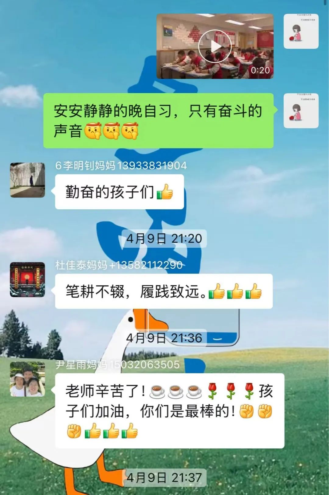 慈师挚友丨走进学生心目中的老师