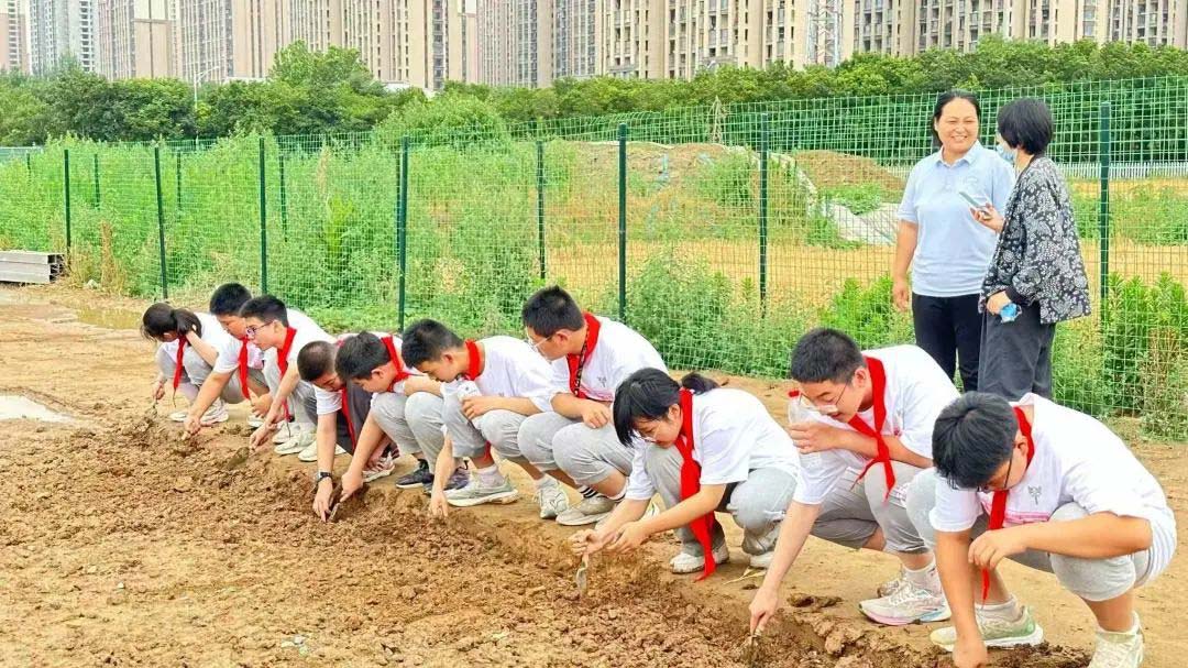 【立小 • 实践】让文物焕发活力 绽放新光彩｜小初衔接部综合实践纪实