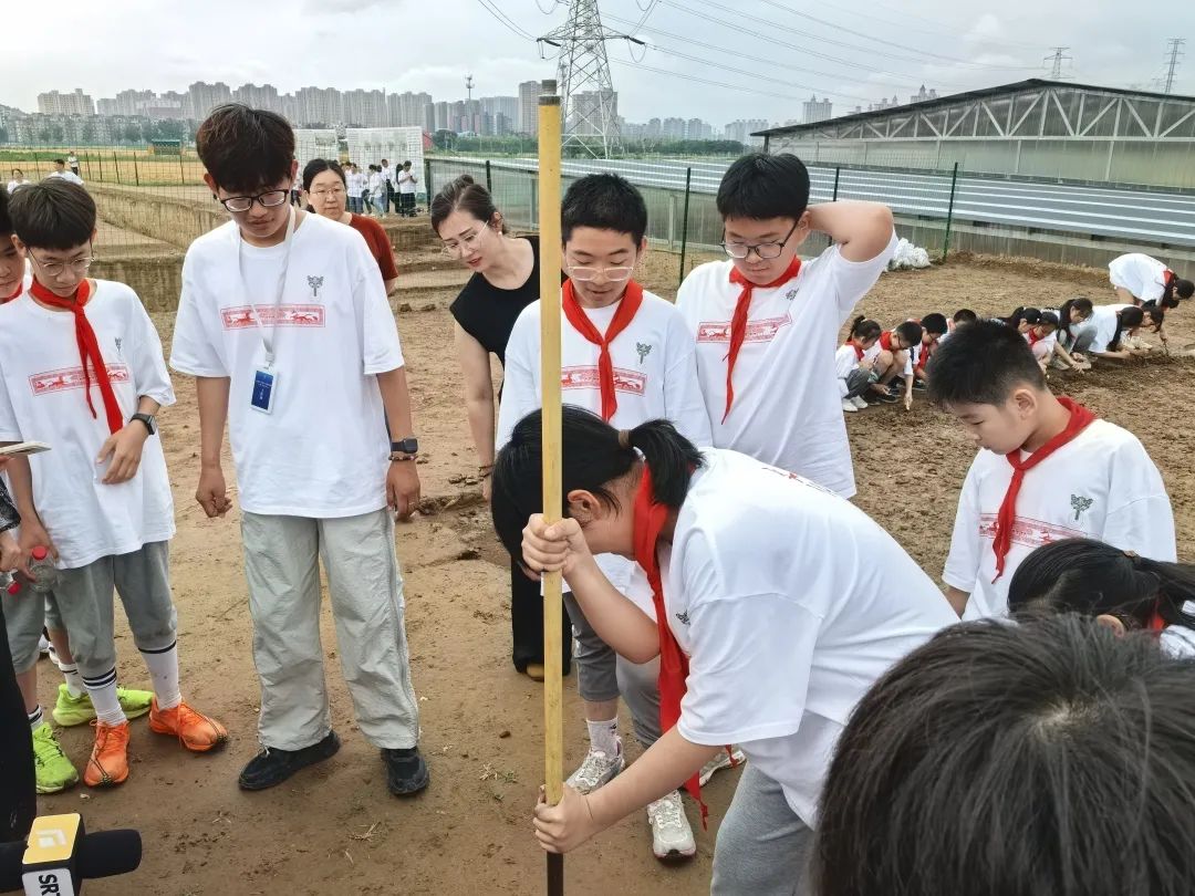 【立小 • 实践】让文物焕发活力 绽放新光彩｜小初衔接部综合实践纪实