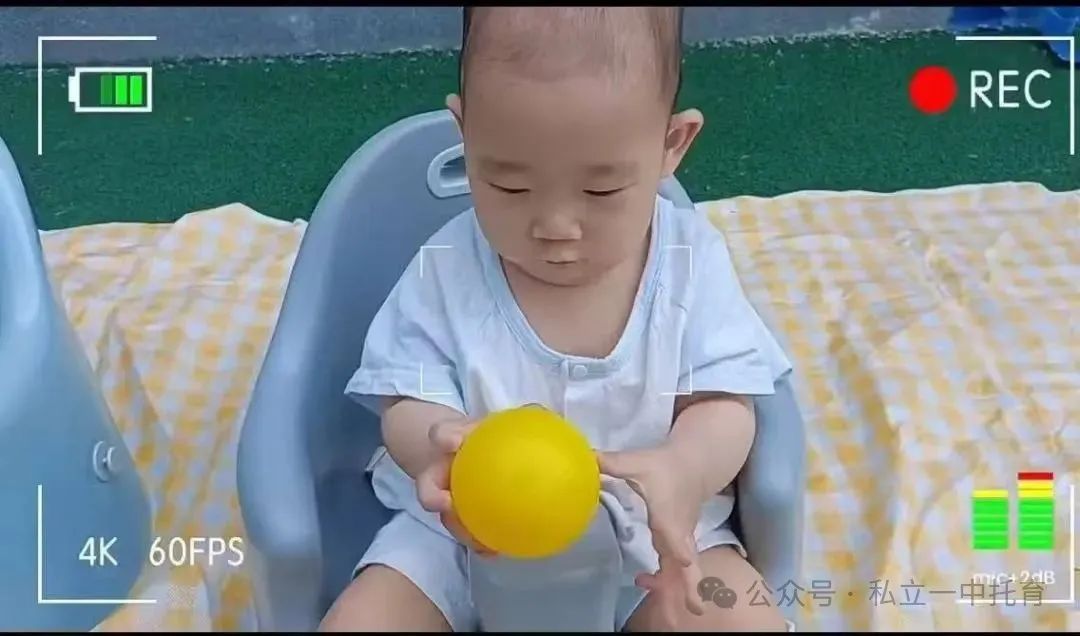 【宝龙托育】宝宝满4个月就可以入托啦~~