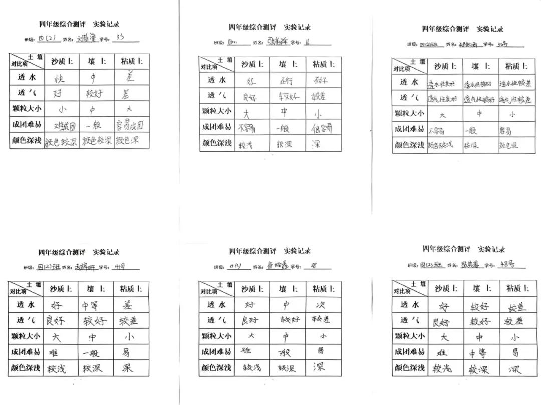 【立小•评价】别让期末困在“标准答案”里，立小多元测评带你解锁能力“盲盒”！