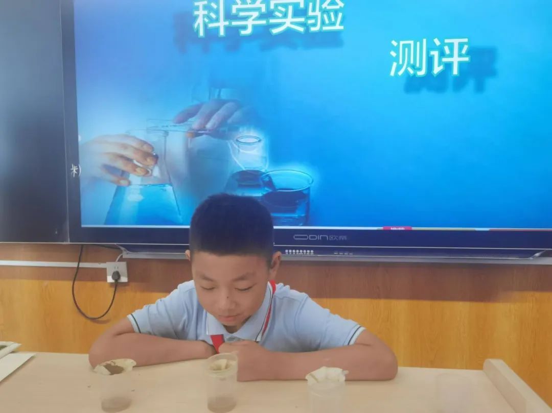 【立小•评价】别让期末困在“标准答案”里，立小多元测评带你解锁能力“盲盒”！