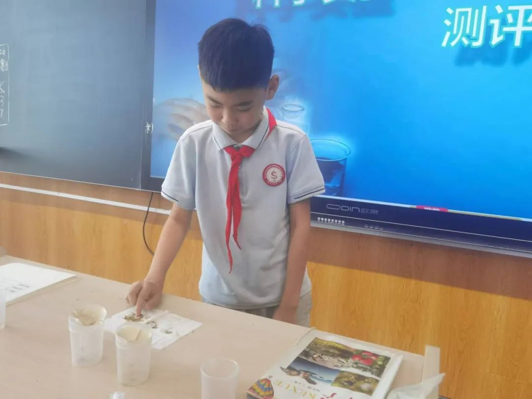 【立小•评价】别让期末困在“标准答案”里，立小多元测评带你解锁能力“盲盒”！