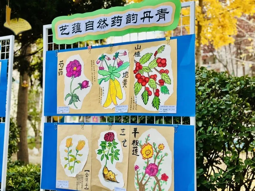 【立小 • 美育】律动与色彩 书写艺术盛宴的精彩答卷｜2025年上半年美育成果纪实