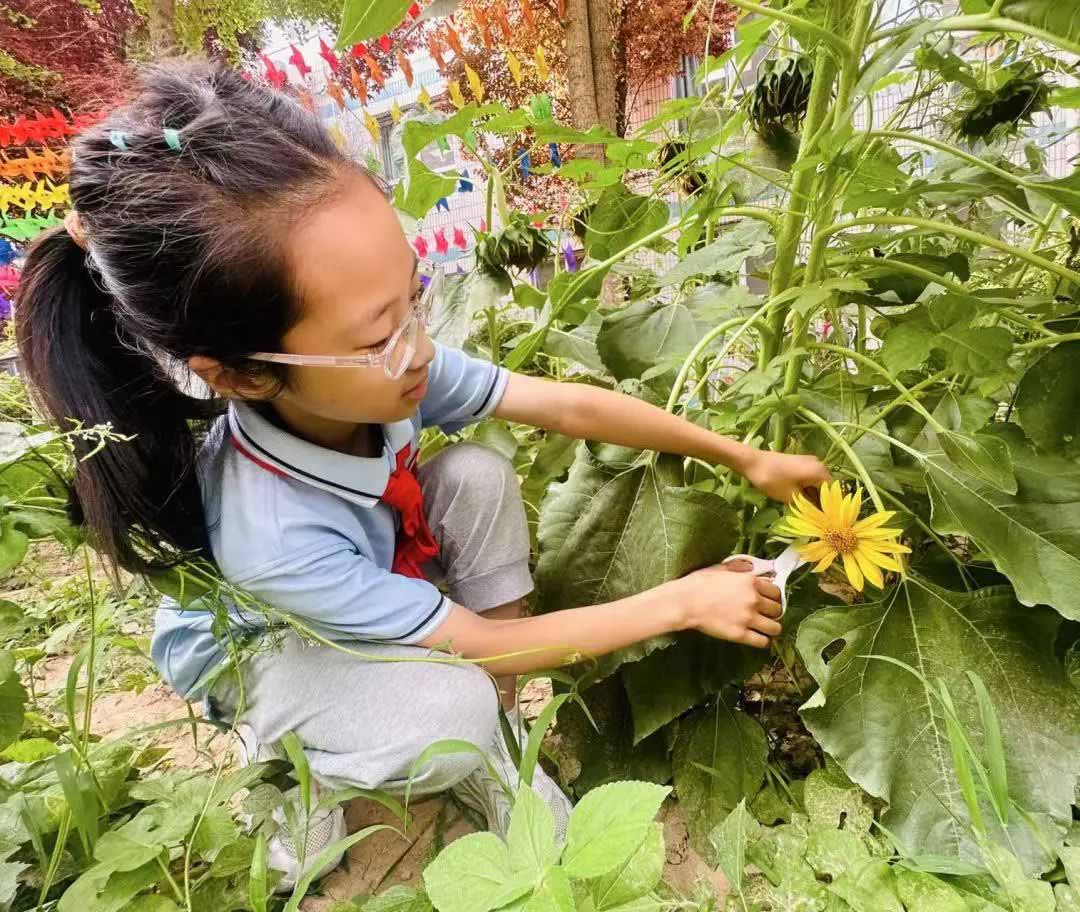 【立小•毕业季】少年有梦赴山海 逐光启航向未来｜2025届毕业盛典