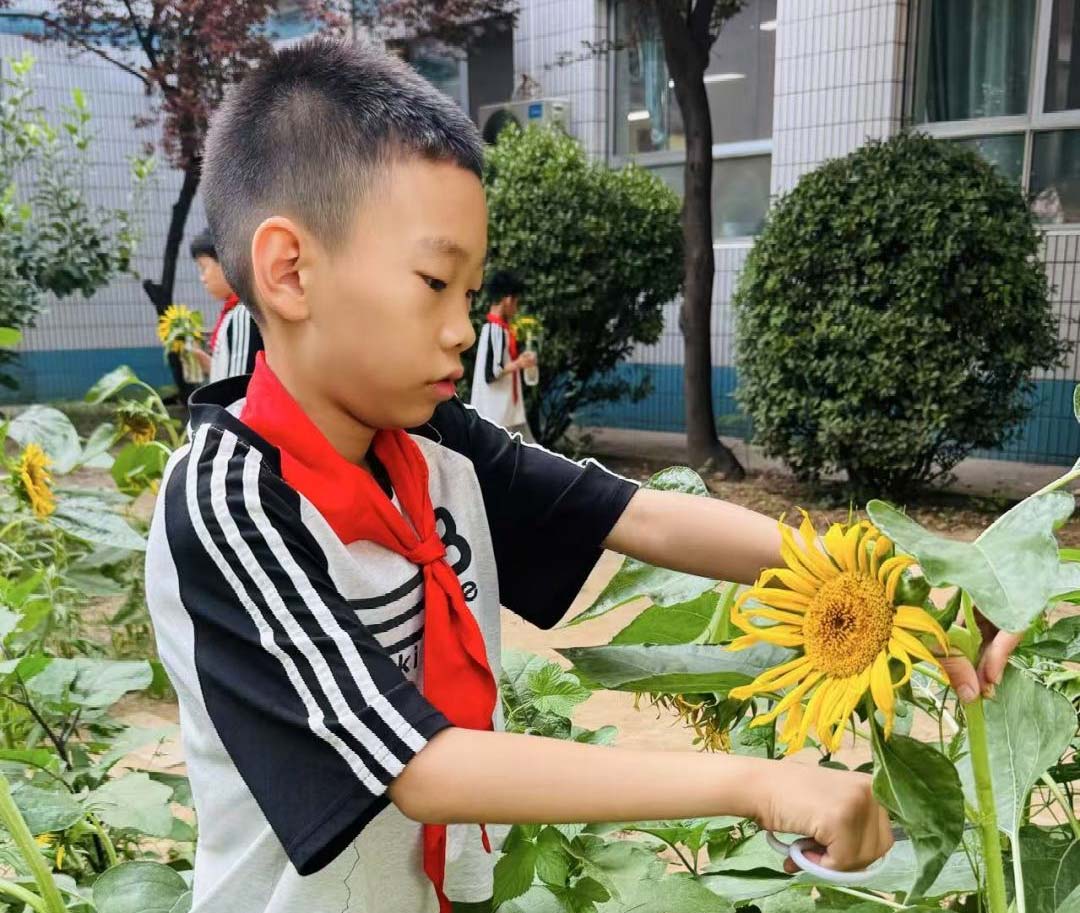 【立小•毕业季】少年有梦赴山海 逐光启航向未来｜2025届毕业盛典