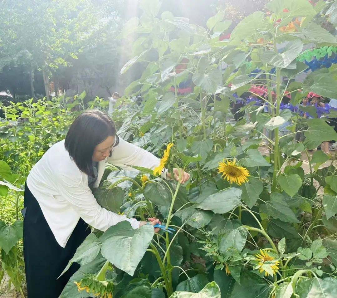 【立小•毕业季】少年有梦赴山海 逐光启航向未来｜2025届毕业盛典