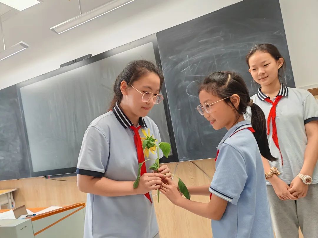 【立小•毕业季】少年有梦赴山海 逐光启航向未来｜2025届毕业盛典