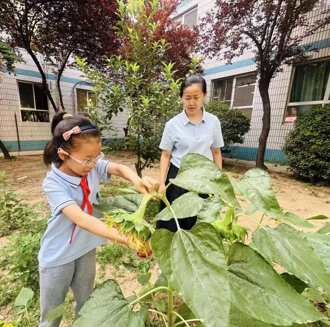 【立小•毕业季】少年有梦赴山海 逐光启航向未来｜2025届毕业盛典