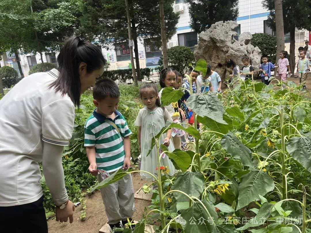 【小学体验】中班探校 梦想初发芽