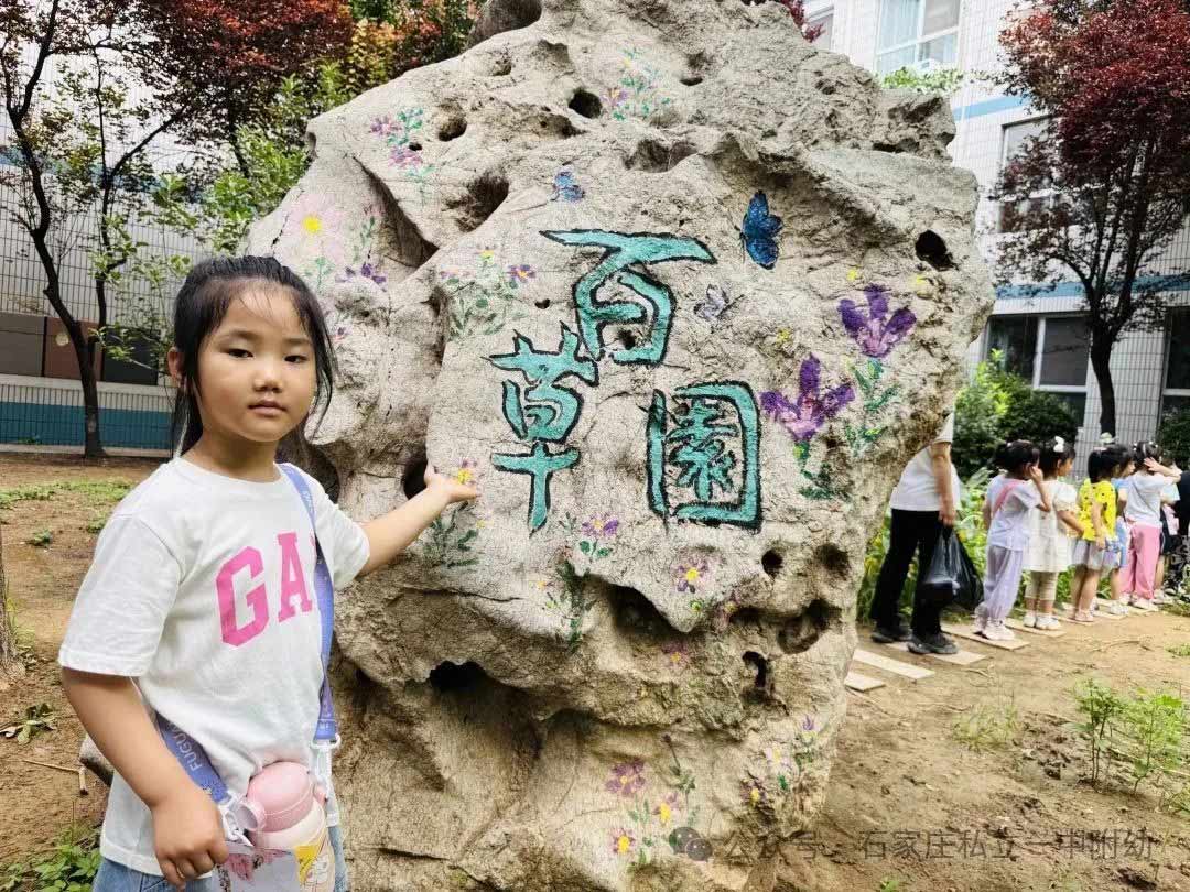 【小学体验】中班探校 梦想初发芽