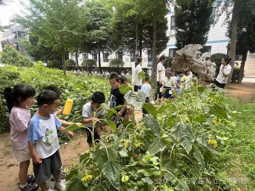 【小学体验】中班探校 梦想初发芽