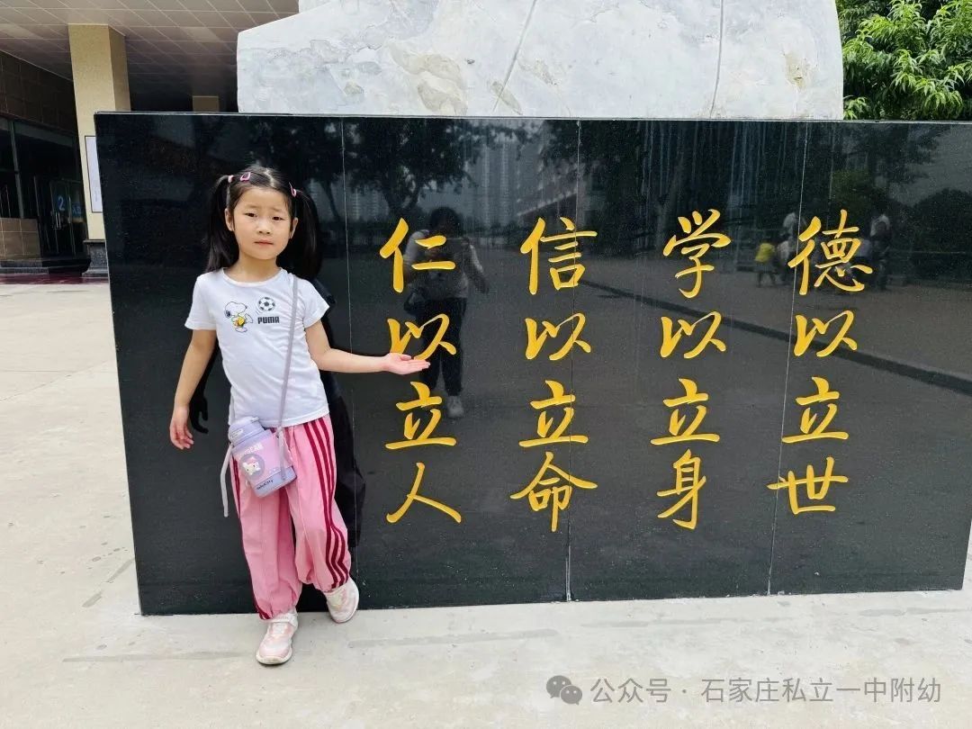 【小学体验】中班探校 梦想初发芽