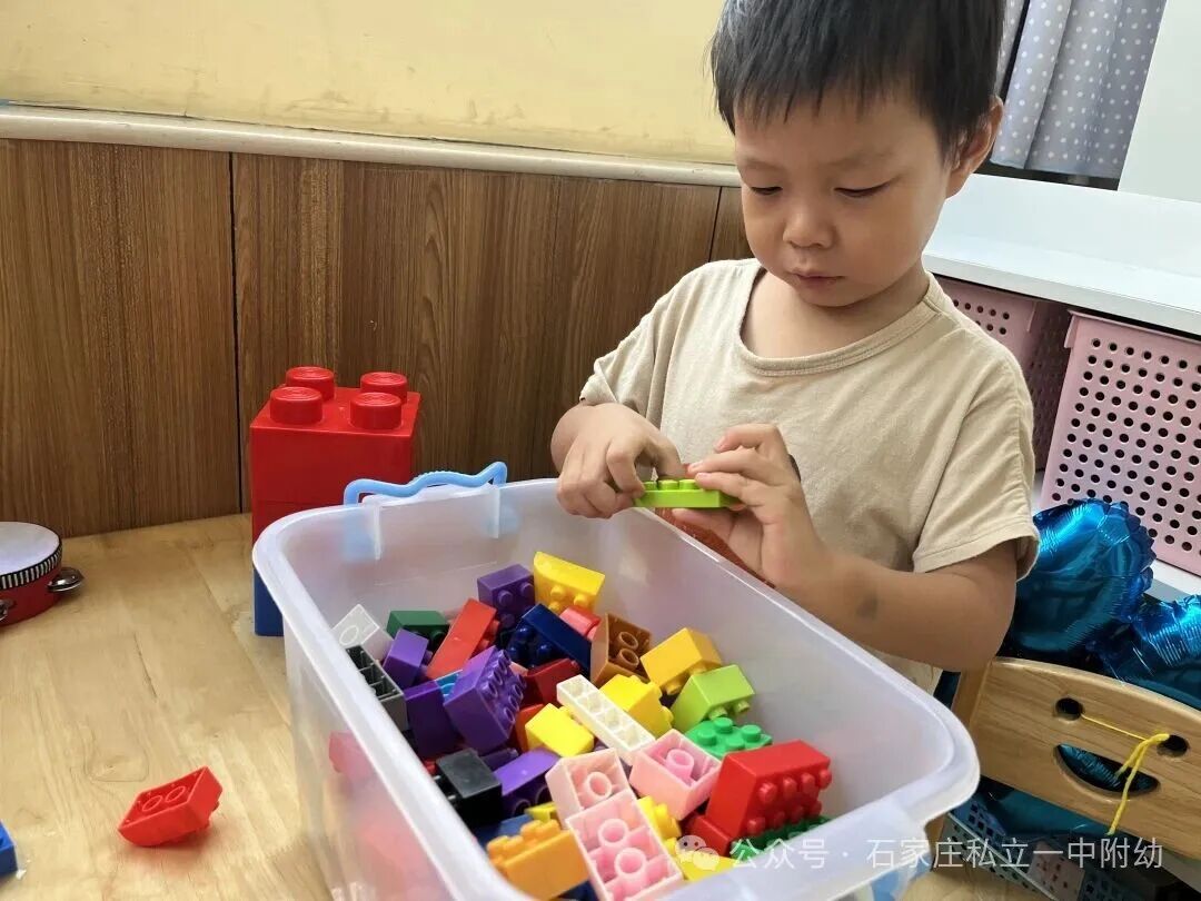 【开学季】中国心*中国娃*中国梦开学典礼