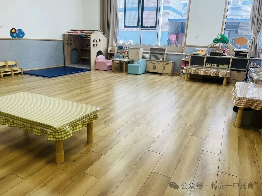 【宝龙托育】1-2岁为什么上托育