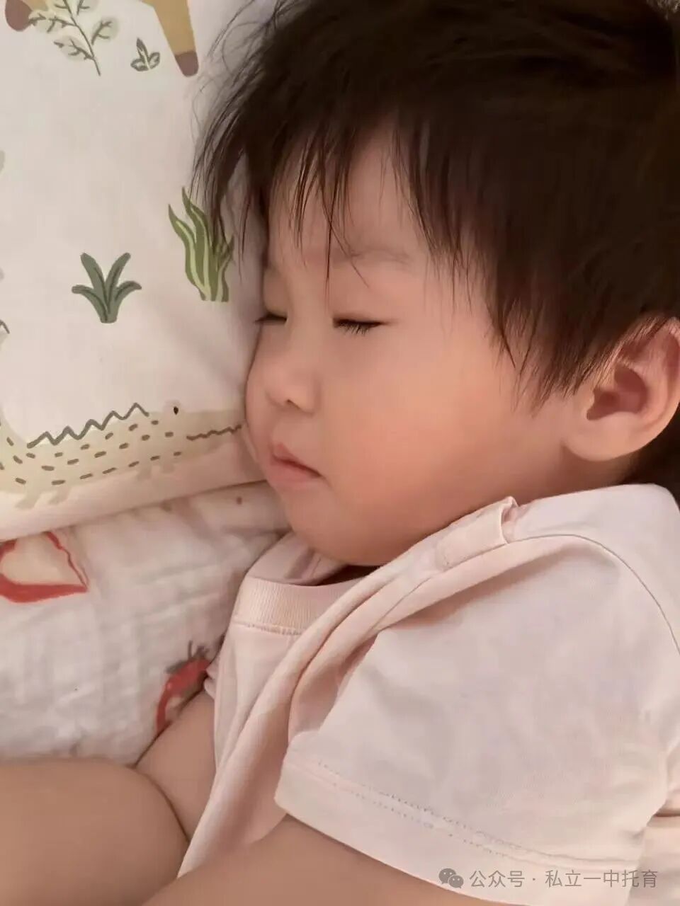 【宝龙托育】1-2岁为什么上托育