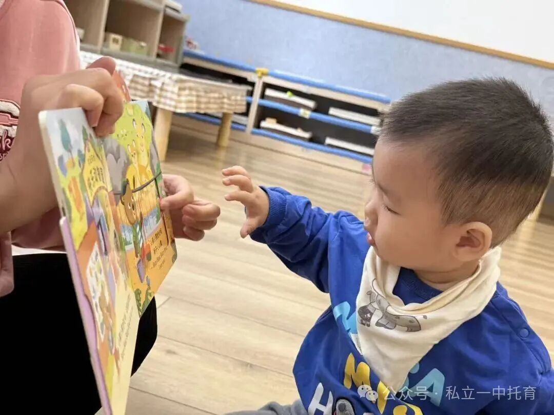 【宝龙托育】一周多宝宝的活动日常