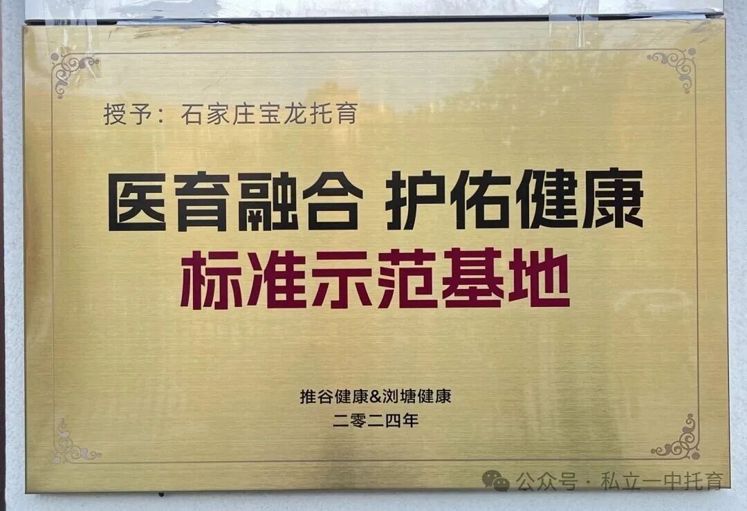 【宝龙托育】一周多宝宝的活动日常