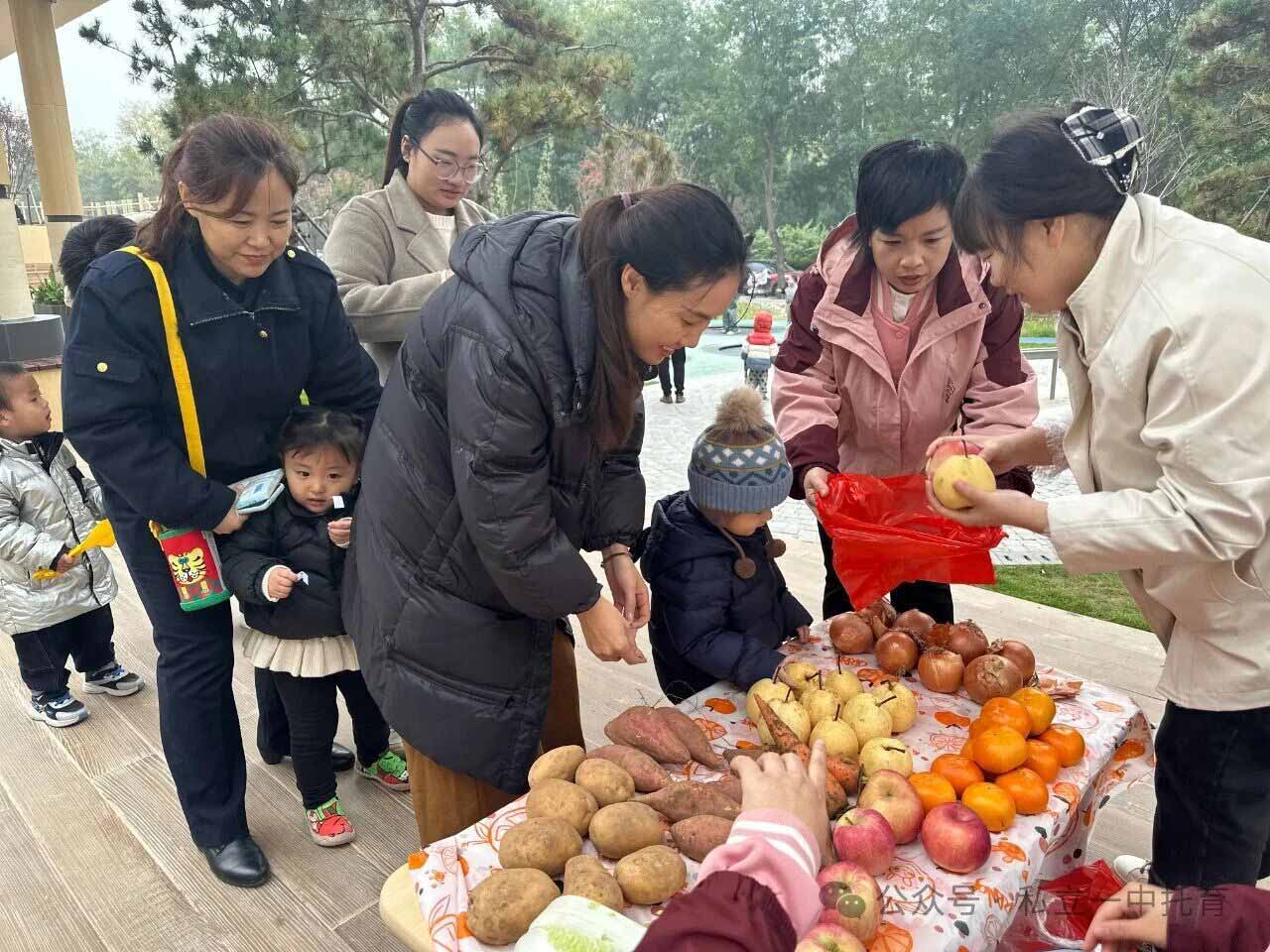 【宝龙托育】悦享秋冬 相约“趣”玩--亲子秋游活动