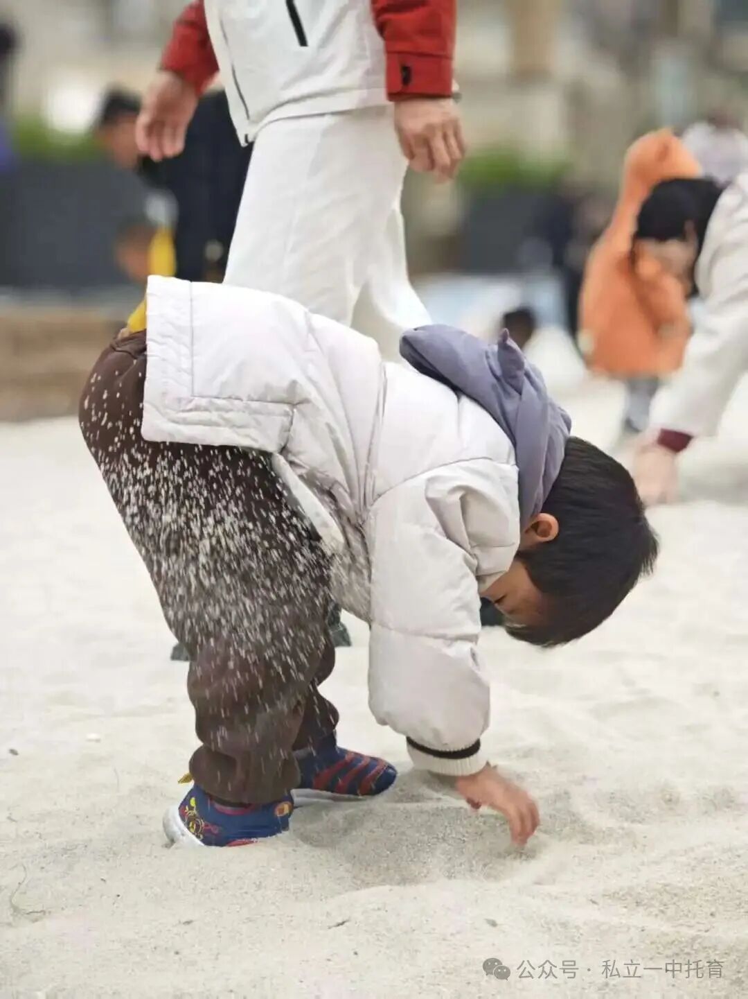 【宝龙托育】悦享秋冬 相约“趣”玩--亲子秋游活动