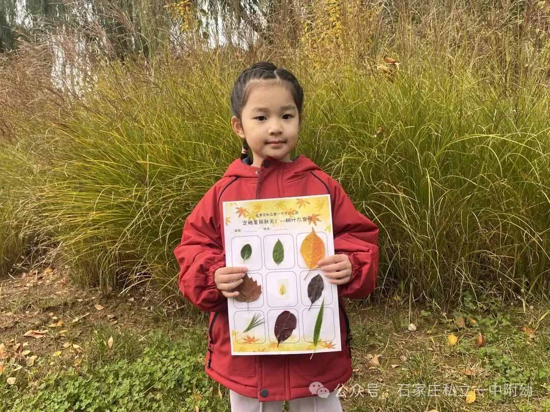 【秋游季】“寻秋趣，乐相伴”亲子秋游活动