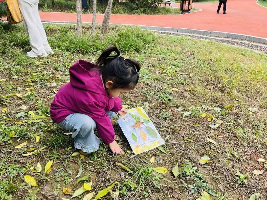 【秋游季】“寻秋趣，乐相伴”亲子秋游活动
