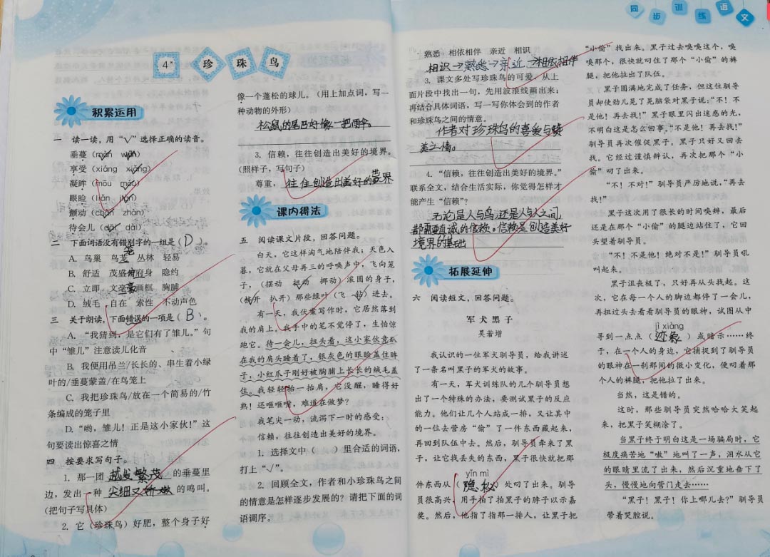 【立小•教学】提升教学质量 共享教育智慧 | 期中阶段教学质量工作侧记
