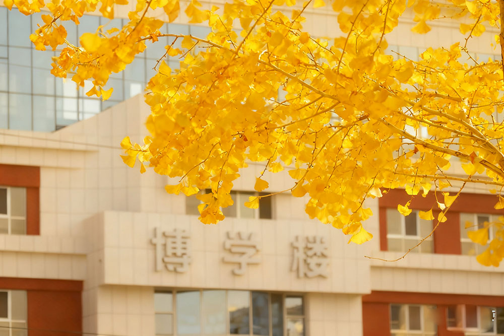 校园温度计丨刻度上的时光与热爱